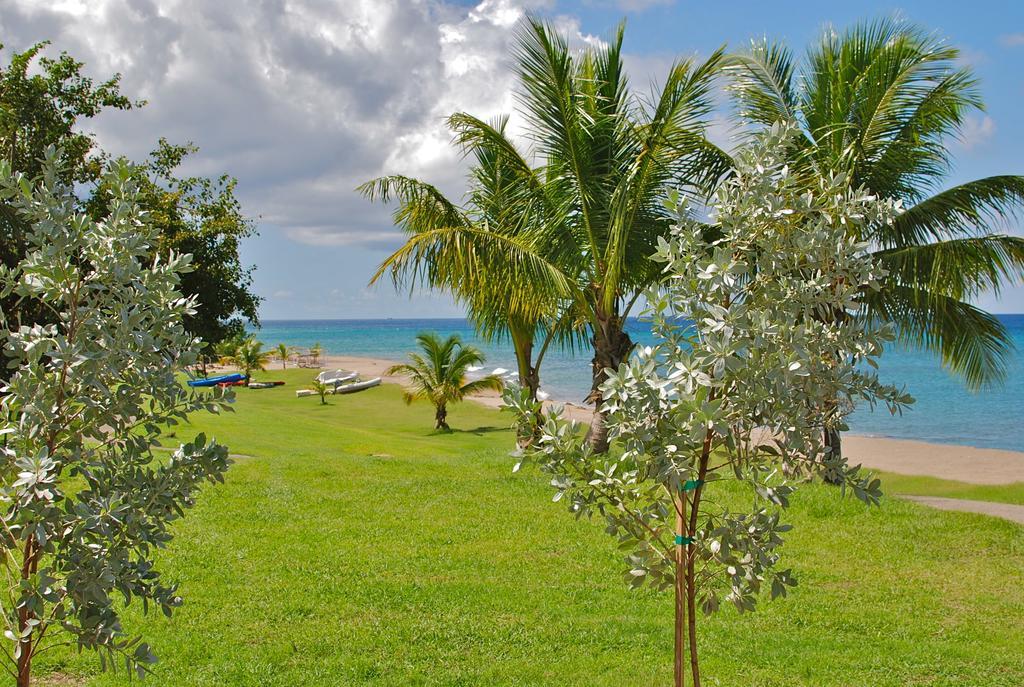 Vila Zenith Nevis Pokoj fotografie